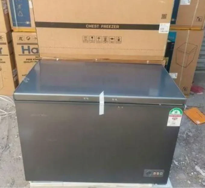 Skyworth BD-320 264L Chest Freezer - Image 2